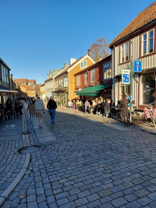 Hidden Gem Near The Old Town Bridge, 40M² Apt. Trondheim Exterior photo
